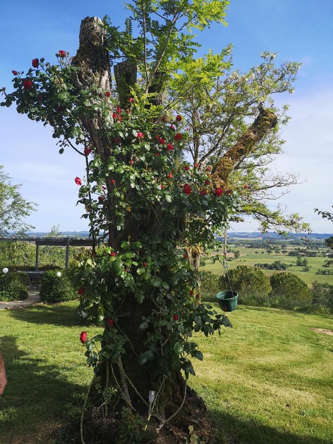 La Pigario Bed and Breakfast Lisle-sur-Tarn Esterno foto